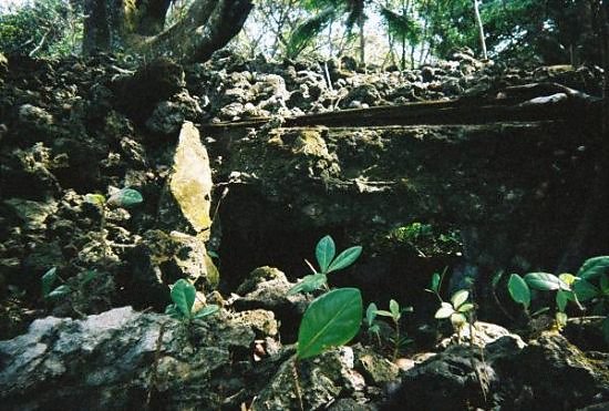 Peleliu Reunion-9 - White Beach