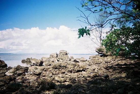 Peleliu Reunion-10 - White Beach