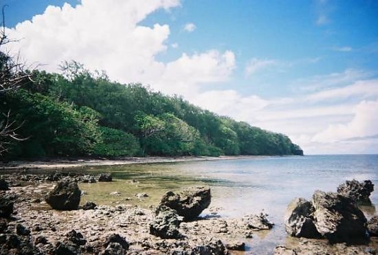 Peleliu Reunion-12 - White Beach