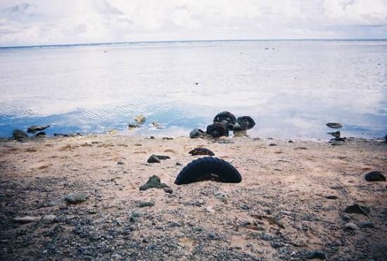 Peleliu Reunion-13 - White Beach