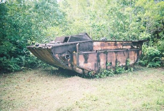 Peleliu Reunion-23 - Airfield