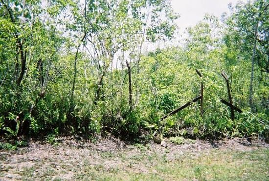 Peleliu Reunion-26 - PoW 