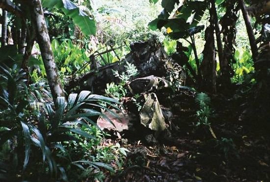 Peleliu Reunion-28