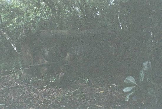Peleliu Reunion-35