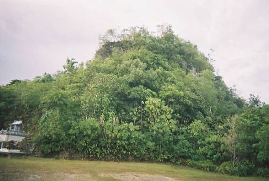 Peleliu Reunion-37 - Hill  300