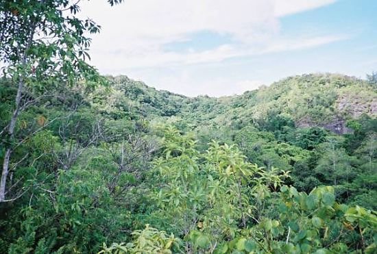 Peleliu Reunion-39 - Horseshoe