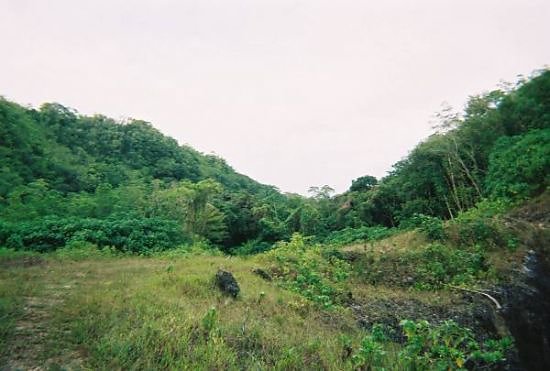 Peleliu Reunion-40 - Horseshoe