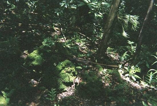 Peleliu Reunion-68