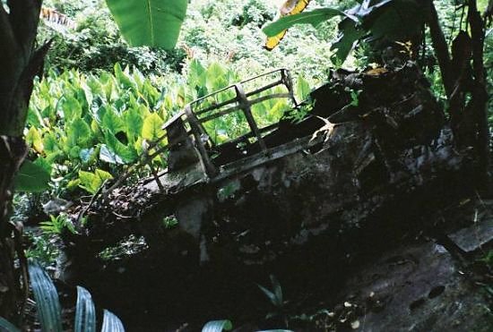 Peleliu Reunion-69